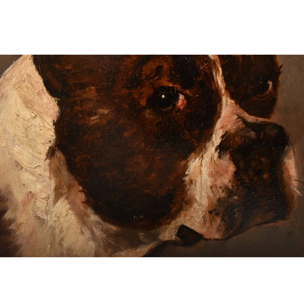 QA795 6a antique oil painting dogs portraits painting XIX